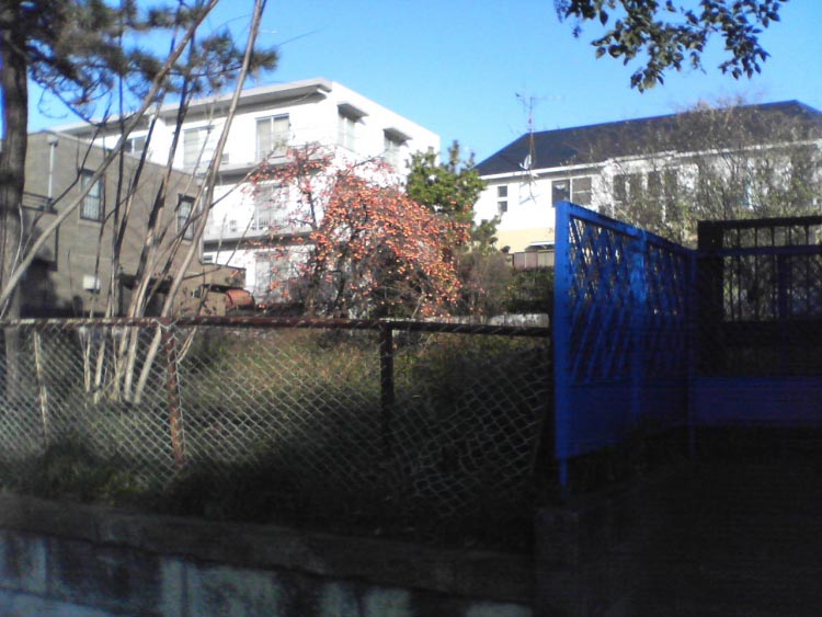 DPP_0004.jpg