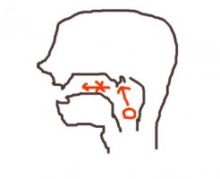 息を吐くだけの練習法の図