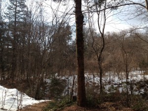 karuizawa2013-201419