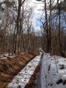 karuizawa2013-201421