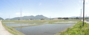 新潟県村山市近郊の田園風景