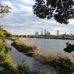 岸辺のアルバム