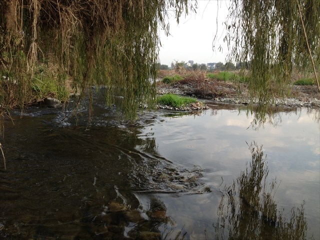 喉に力を入れないで下あごを降ろす発声と、下半身への重心の重要性について11月6日のレッスン