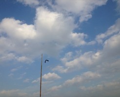 教える仕事は難しい