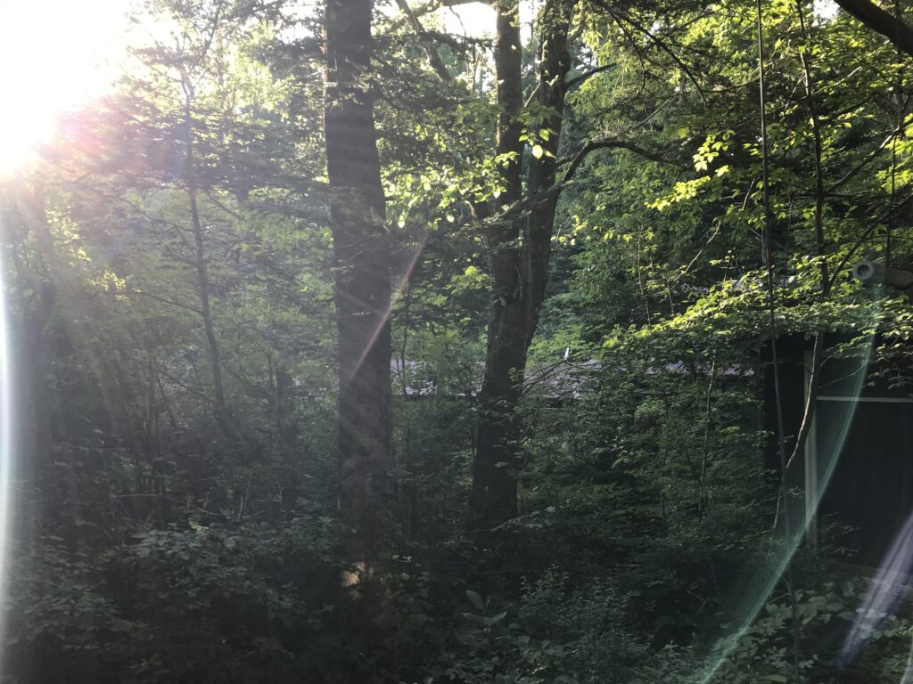 夏休みを過ごして