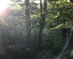 追分山荘の窓辺